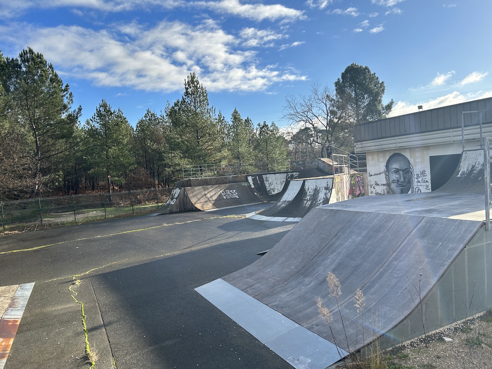 Cestas skatepark